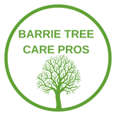 Barrie Tree Care