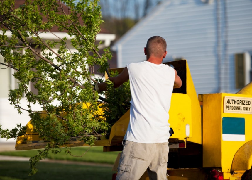 Tree Chipping Service Barrie